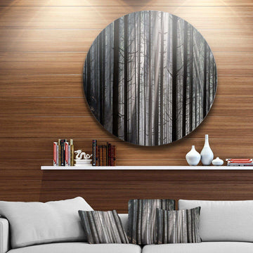 Sunbeams Peeking Through Dark Forest - Landscape Circle Metal Wall Decor
